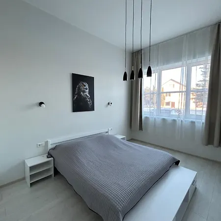 Tamula Loft Apartment, Voru, County Apartament