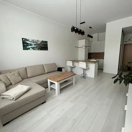 Apartament Tamula Loft Apartment, Voru, County