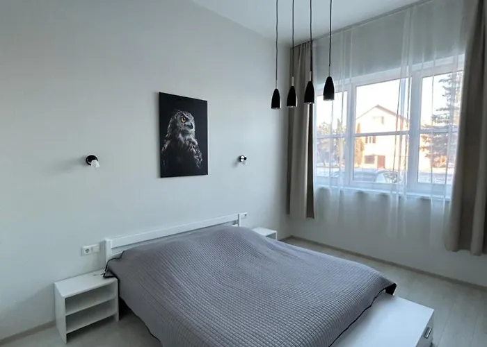 Tamula Loft Apartment, Voru, County Apartman