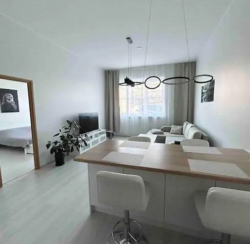 Tamula Loft Apartment, Voru, County Apartman